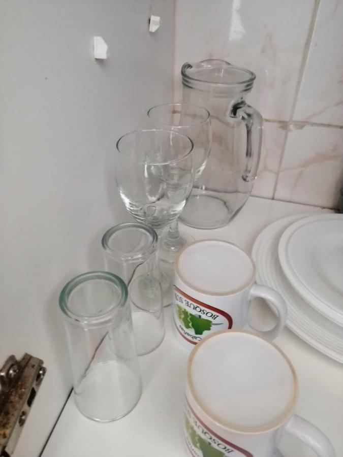 南方森林小屋 巴拉斯港 外观 照片