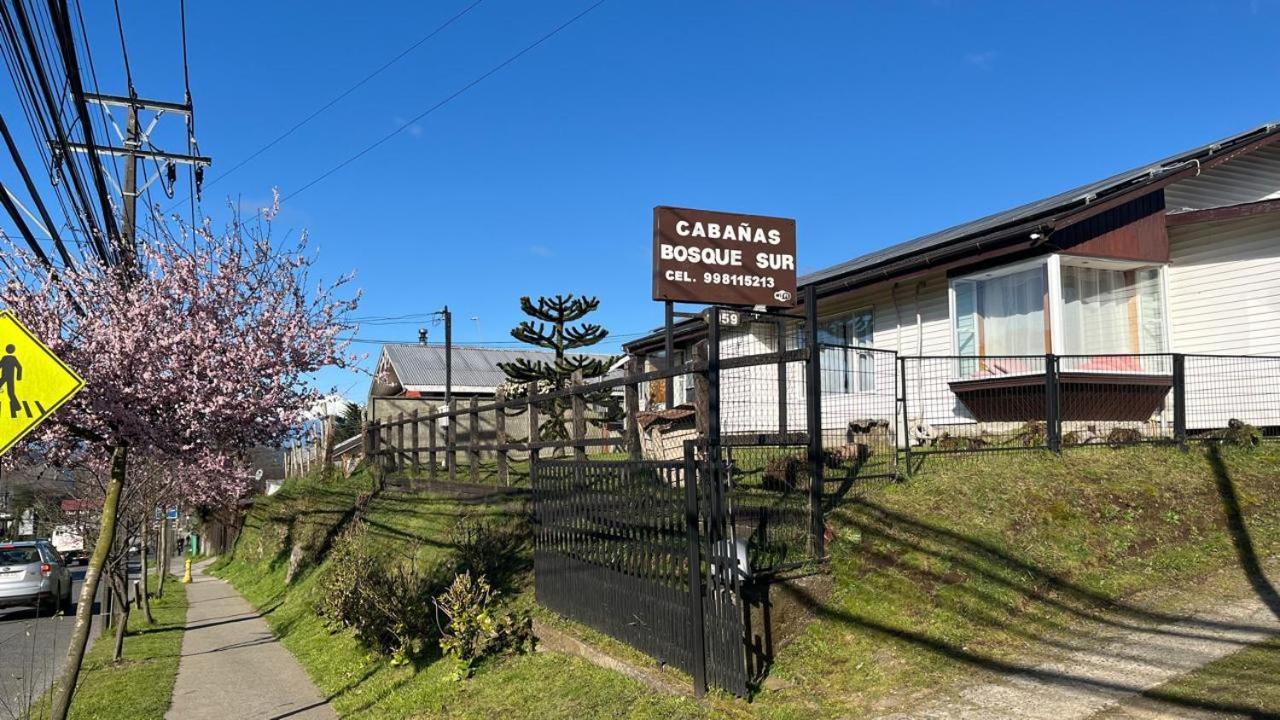 南方森林小屋 巴拉斯港 外观 照片